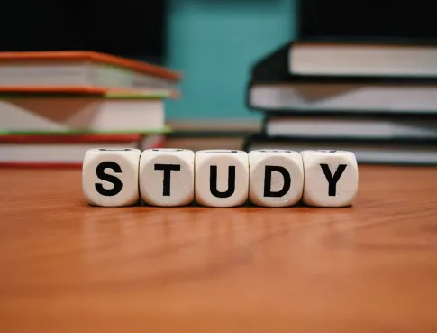 Le Bac se termine... et après ? découvre notre bachelor 1ère année !