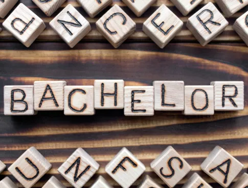 Bachelor Tunon Lille : Ton tremplin vers l'excellence !