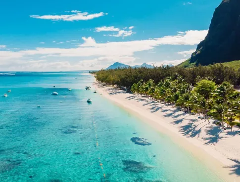 BACHELOR TOURISME : ACCEDER A UNE AGENCE DE VOYAGE
