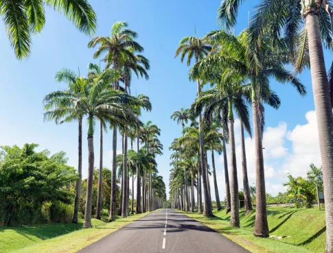 L&rsquo;&Eacute;cole Internationale Tunon s&rsquo;envole dans les DROM d&egrave;s septembre 2026