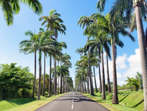 Tunon ouvre 3 nouveaux campus dans les DROM en 2026