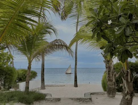 Du campus TUNON aux plages de Zanzibar  