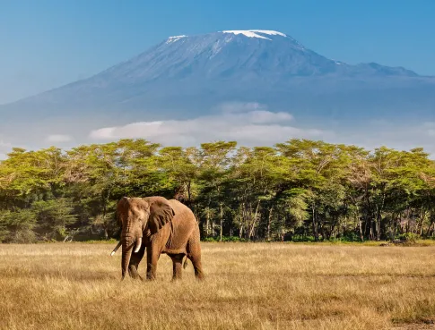 une immersion grandeur nature en Tanzanie pour apprendre le tourisme