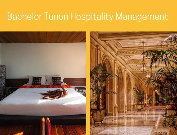 Bachelor-Tunon-Hospitality