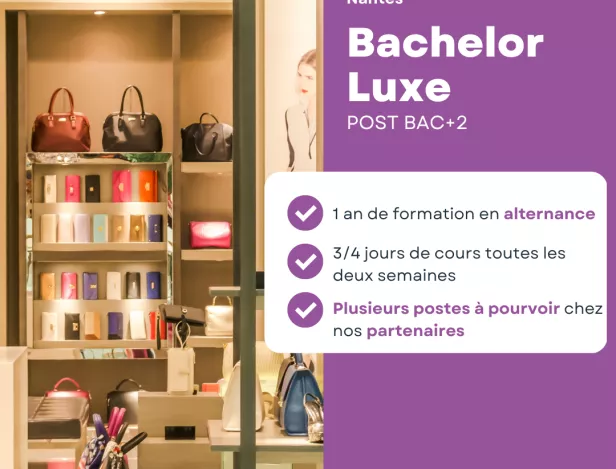 bachelor-luxe-2