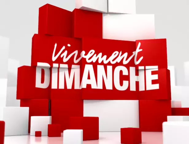 Vivement-dimanche-logo-2011