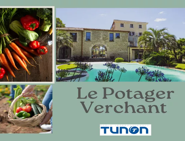 tunon-montpellier-verchant-potager-hotellerie-luxe