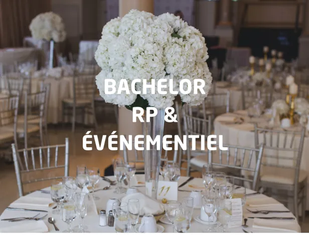 Bachelor-Rp-evenementiel